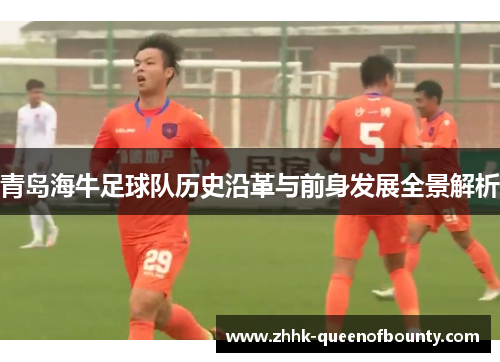 青岛海牛足球队历史沿革与前身发展全景解析 青岛海牛足球队历史沿革与前身发展全景解析